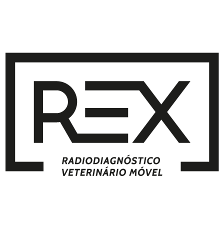 Fundação da minha clínica de diagnósticos por imagem veterinário avançado.